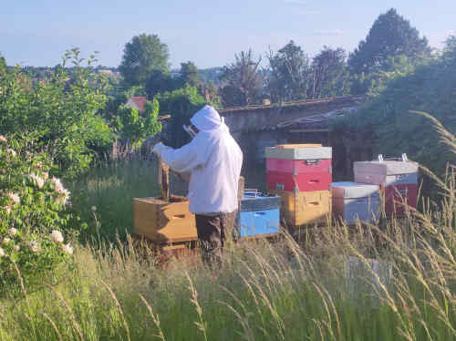 Photo du rucher : AuRucher02