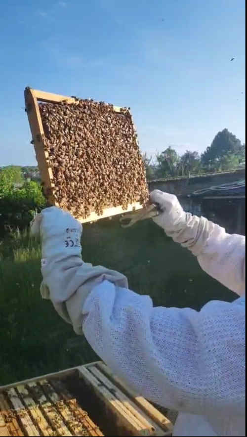 Miniature de la vidéo AuRucher04