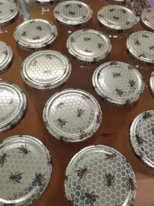 Photo du rucher : IMG-20250511-WA0008