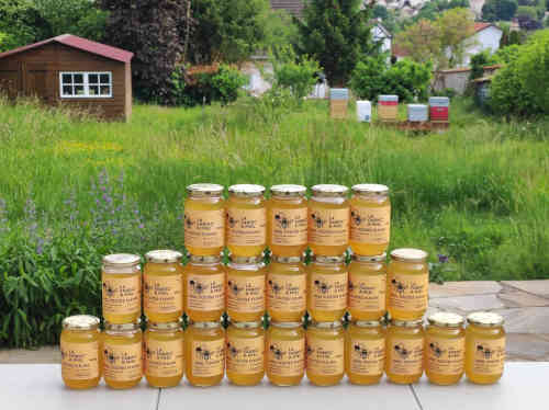 Photo du rucher : IMG-20250511-WA0017